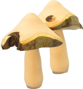 Mushroom From Fig
