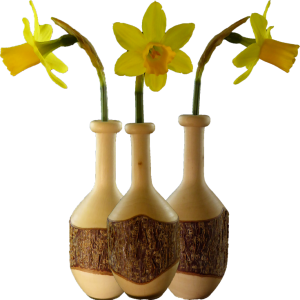 Hazelnut Twig Vase