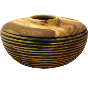 Hollow Form with Fins