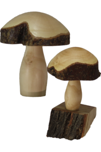 Mushrooms