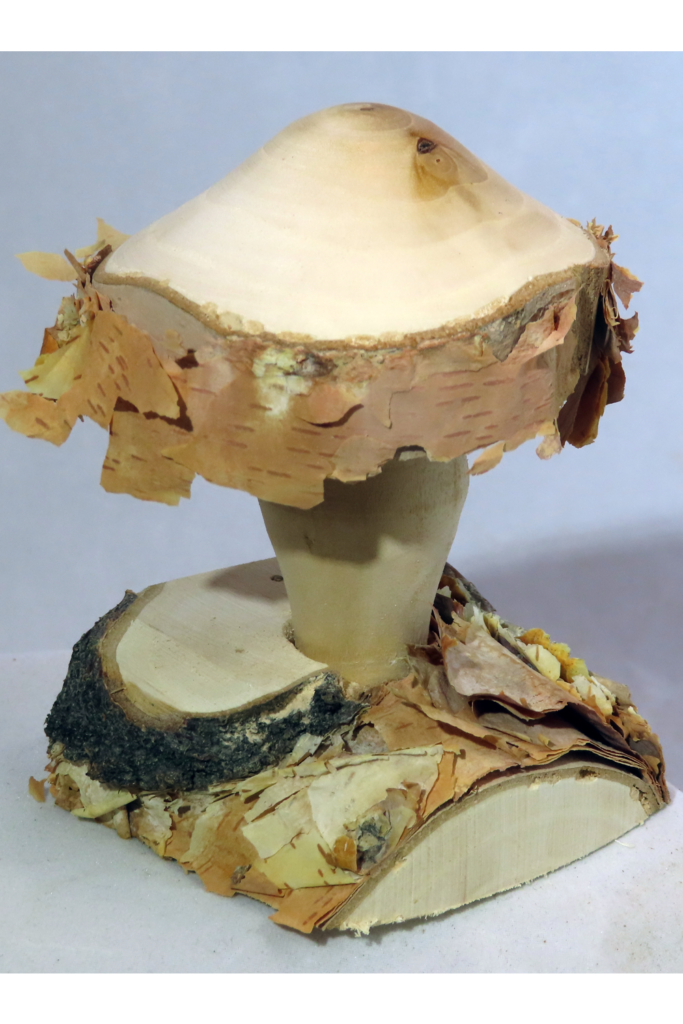 Birch Mushroom