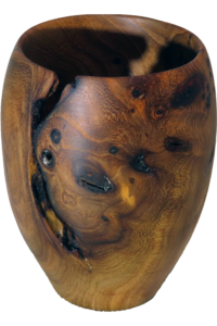 Elm Vase