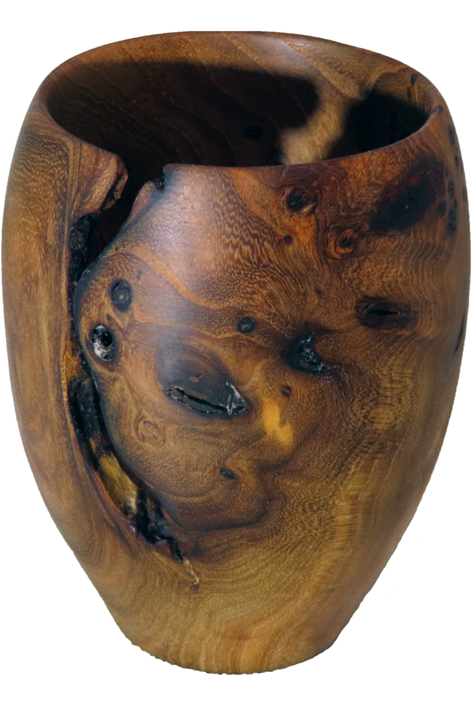 Elm Vase 