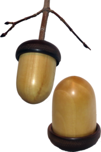 Acorn Birch Walnut