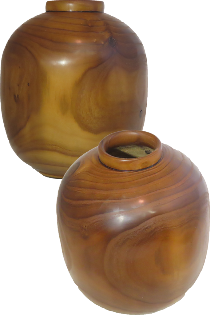 Hollow Form Vase