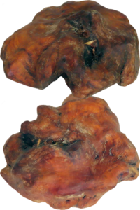 Plum Burl Salt Urn